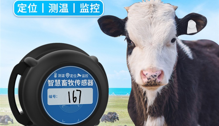 智慧养殖RFID测温定位电子耳标