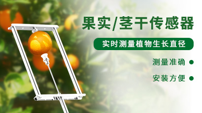 果实/茎干生长传感器