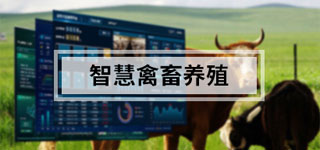 智慧畜牧养殖解决方案