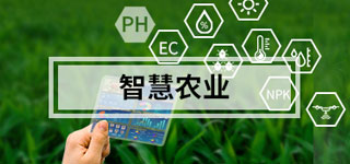 智慧农业系统解决方案