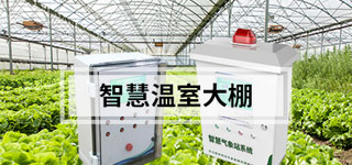 智慧大棚-智能温室解决方案
