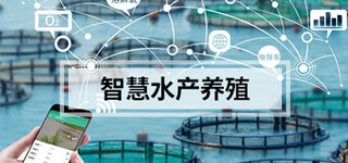 智慧水产养殖解决方案
