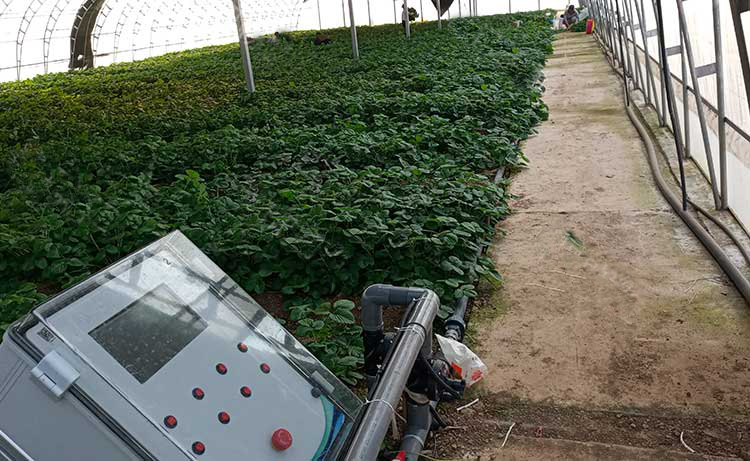 智慧农业水肥一体化