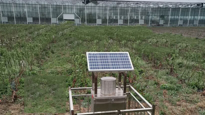 智慧农业示范基地