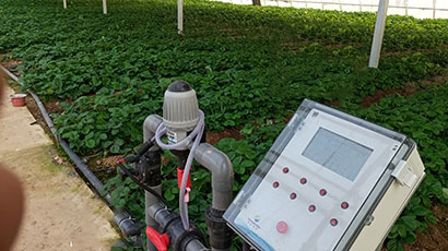 智能大棚滴灌项目