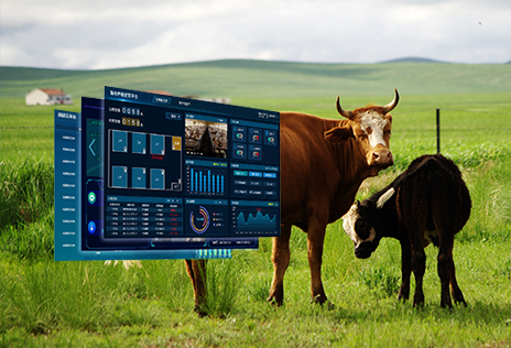 智慧养殖云平台