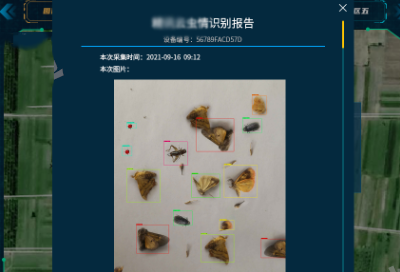 虫情监测云平台